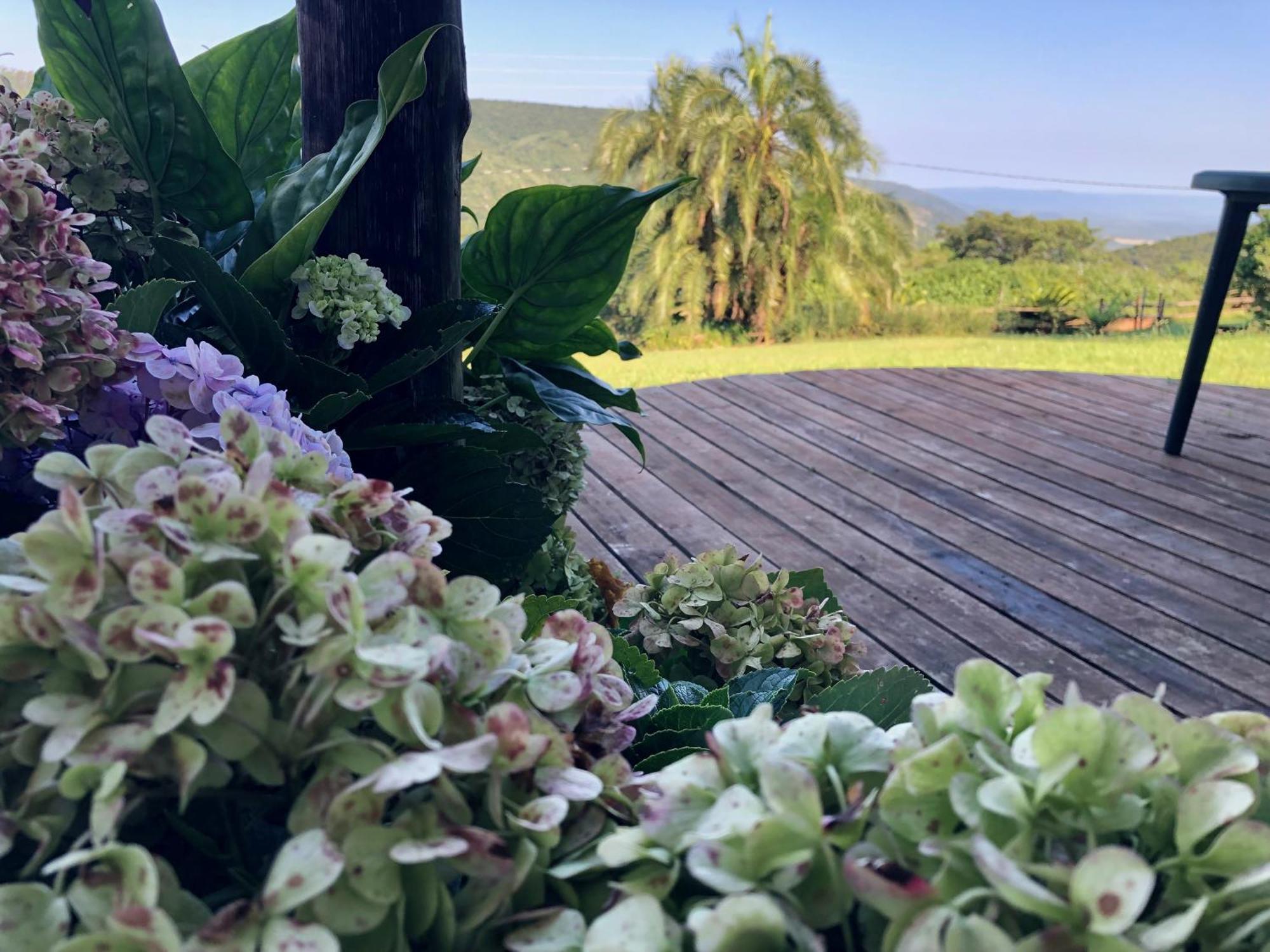 Mabuda Guest Farm Siteki Rom bilde